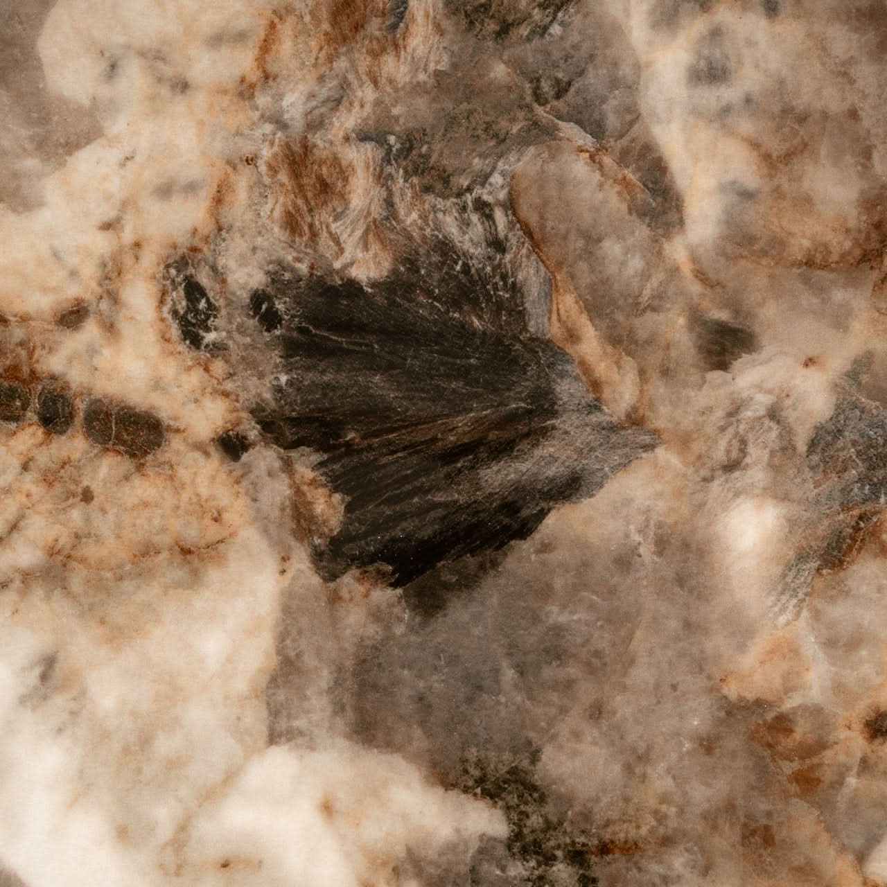 Richmond Interiors – Couchtisch Langford Brown Couchtisch oval Richmond Interiors