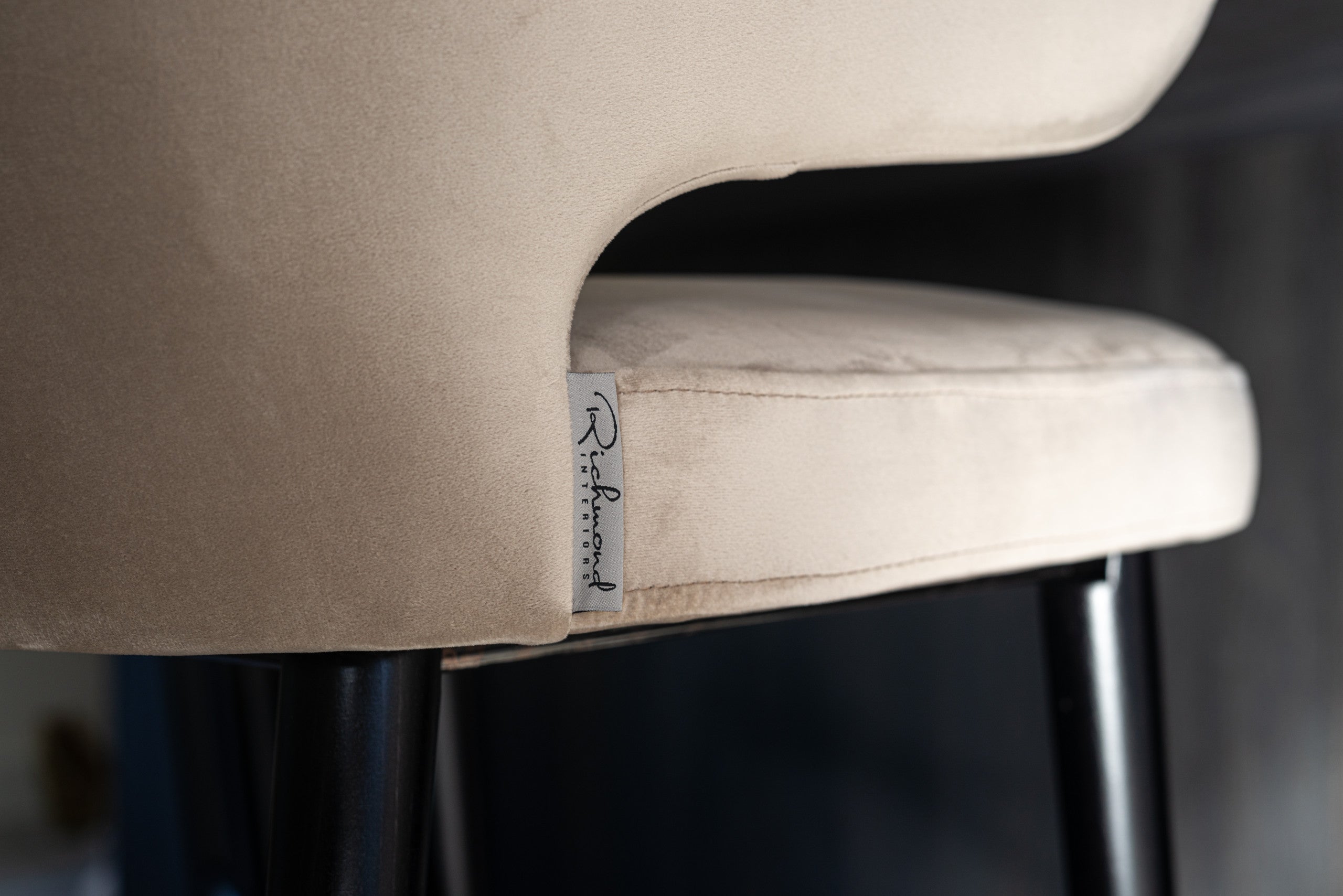 Richmond Interiors Esszimmerstuhl Indigo khaki velvet Esszimmerstuhl Richmond Interiors