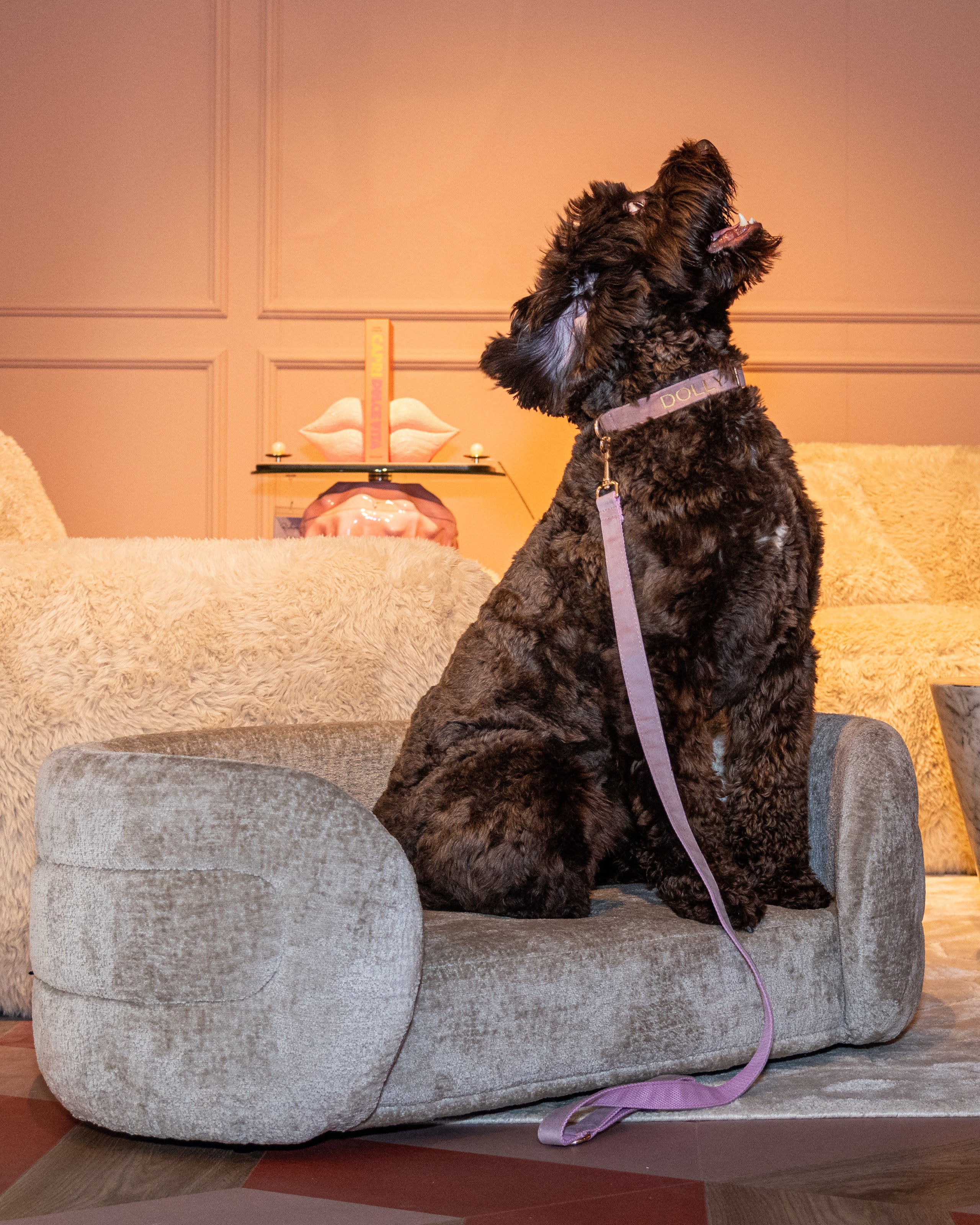 Richmond Interiors Hundebett Bingo clay chenille Hundebett Richmond Interiors