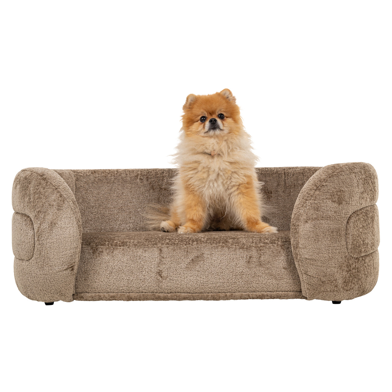 Richmond Interiors Hundebett Bingo taupe chenille Hundebett Richmond Interiors