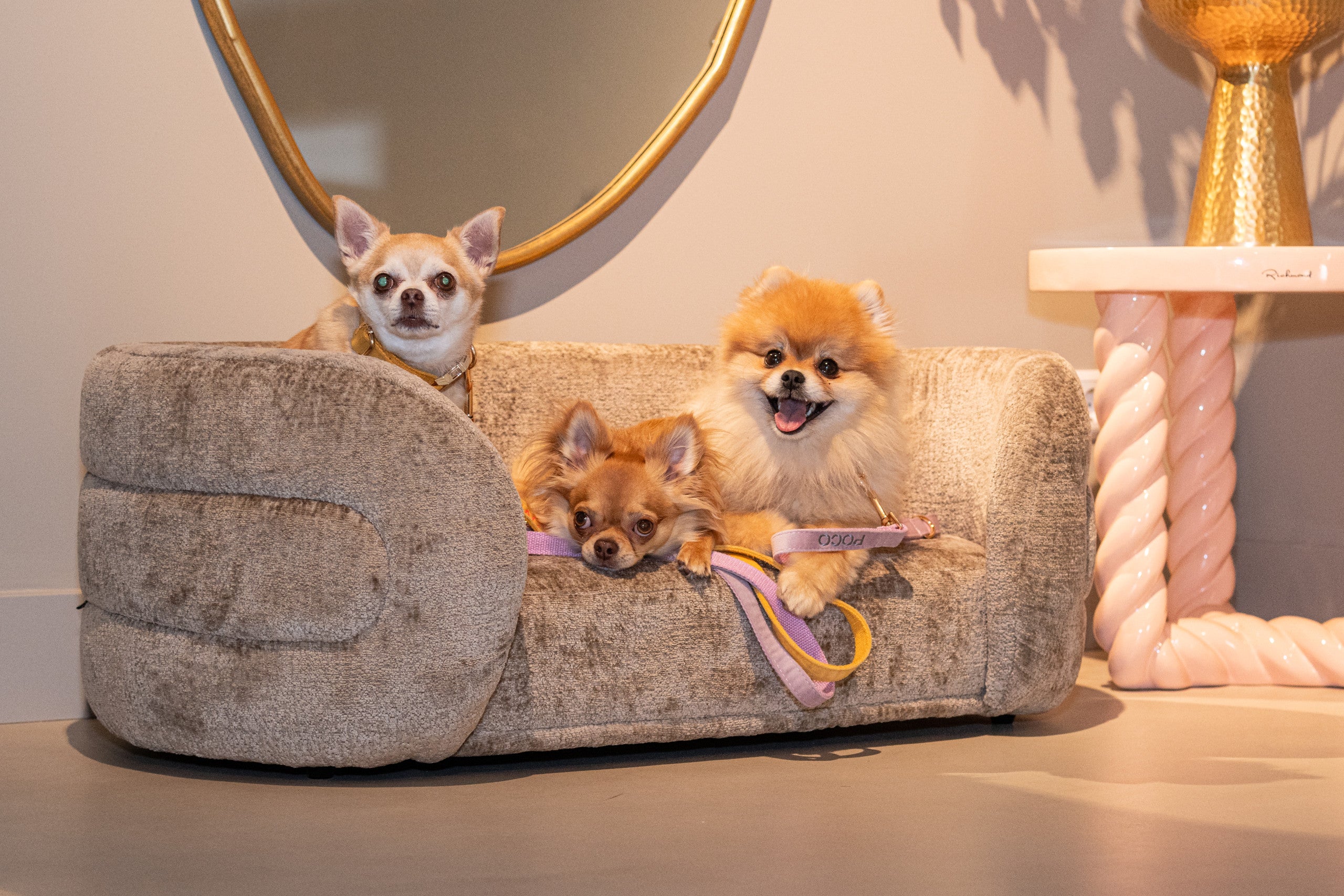 Richmond Interiors Hundebett Bingo taupe chenille Hundebett Richmond Interiors