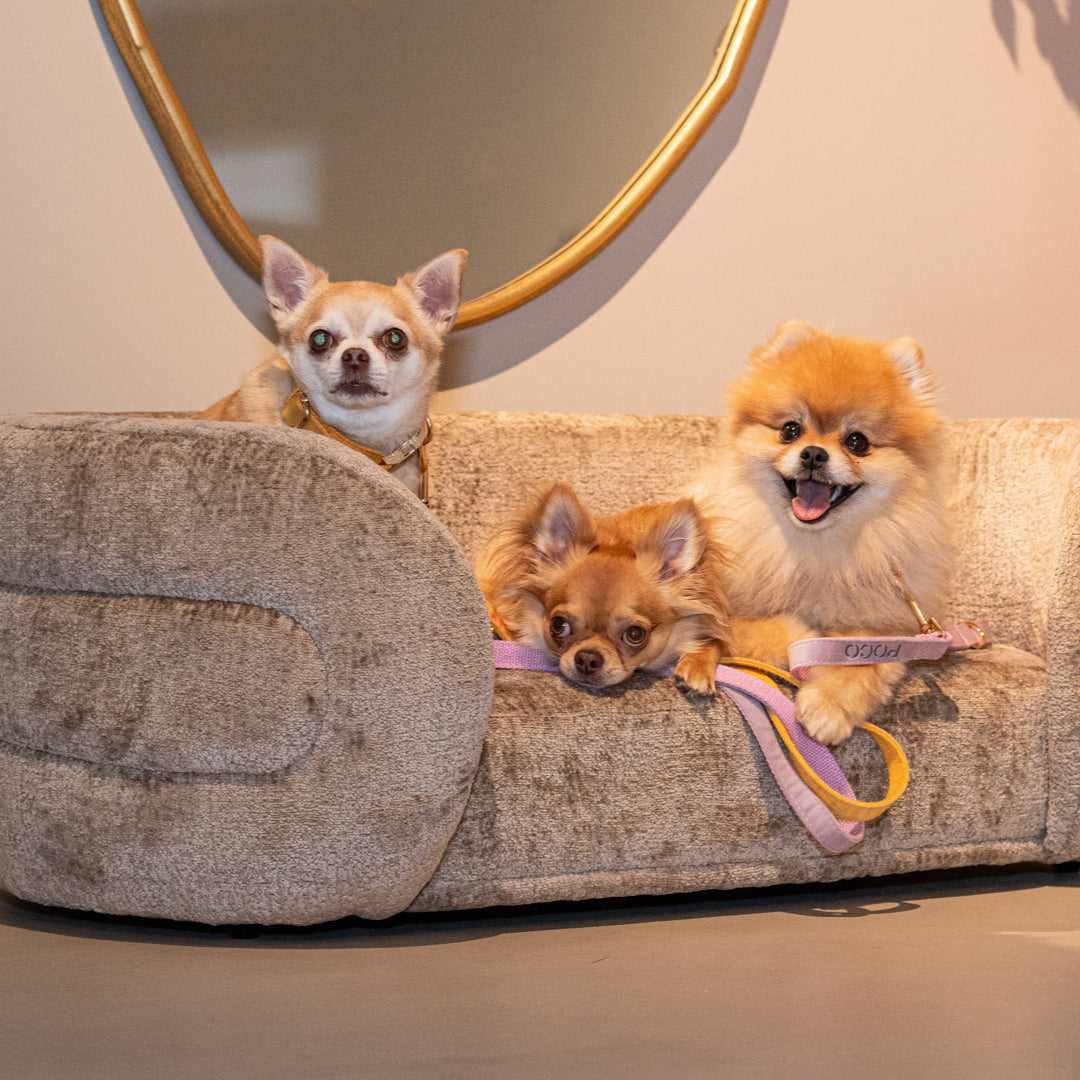 Richmond Interiors Haustierbett Bingo taupe chenille (Bergen 104 taupe chenille) Haustierbett Richmond Interiors