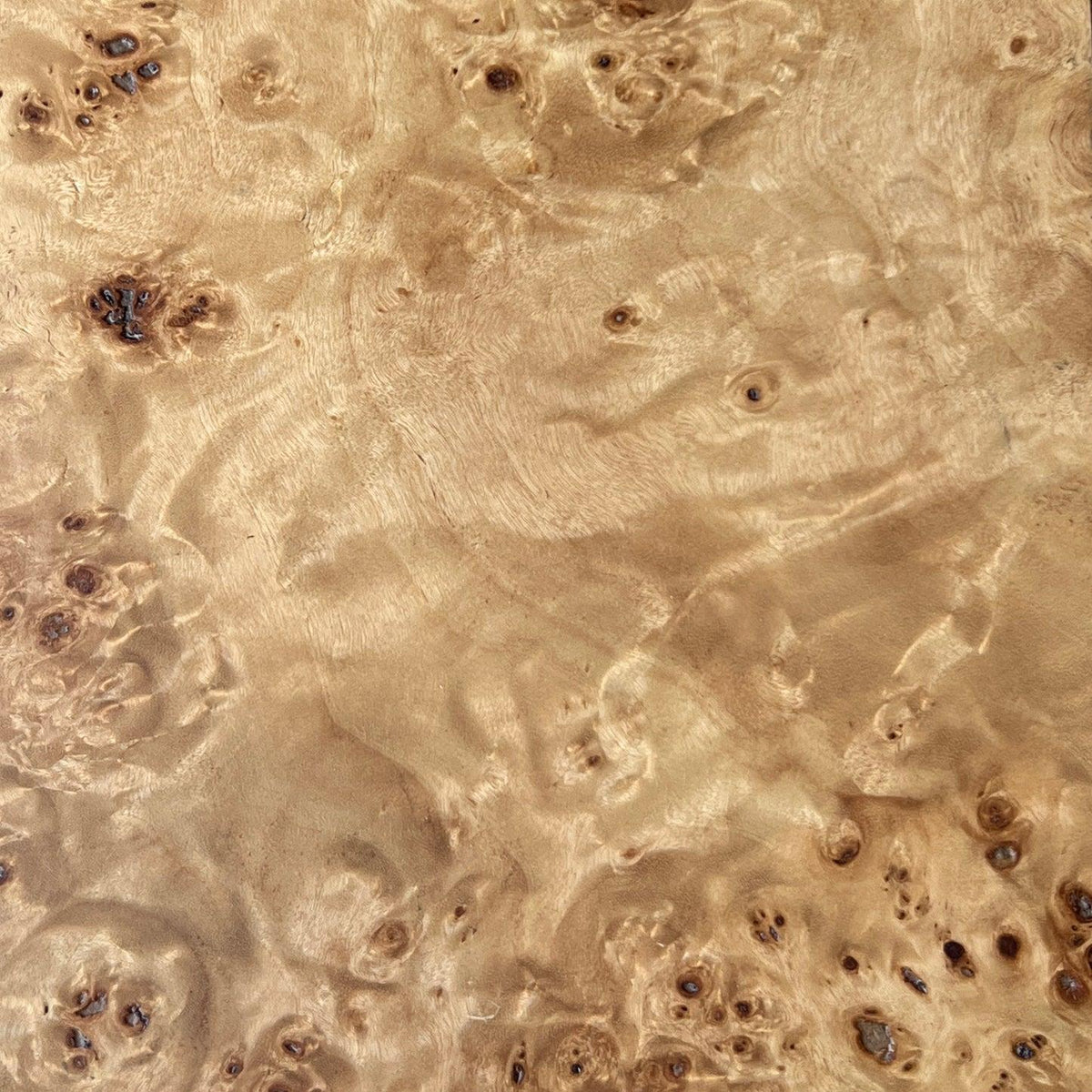Wurzelholz (Burl Wood): Warum die außergewöhnliche Holzmaserung die Interior-Welt begeistert