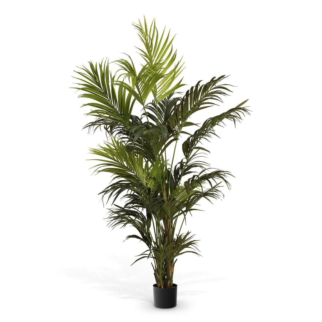 Eichholtz Künstliche Kentia-Palme Kunstpflanze Eichholtz