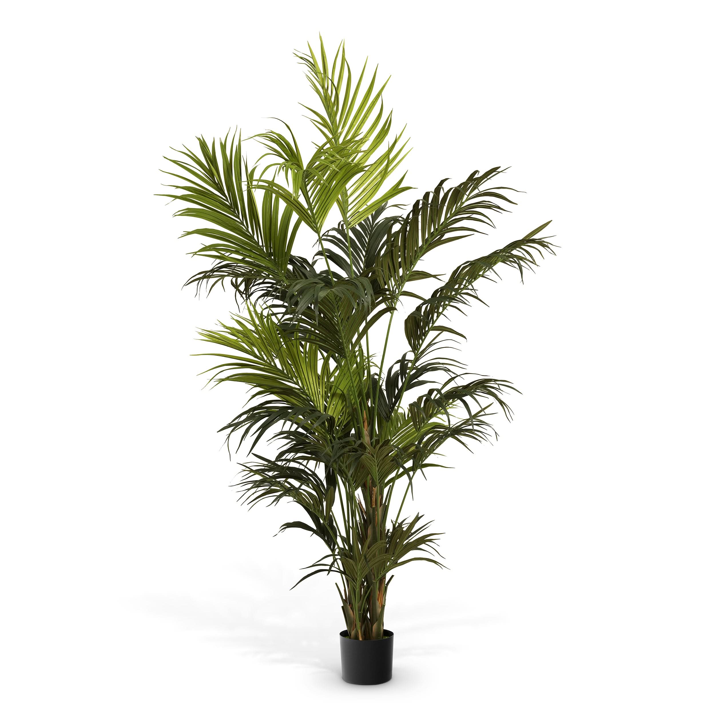 Eichholtz Künstliche Kentia-Palme Kunstpflanze Eichholtz