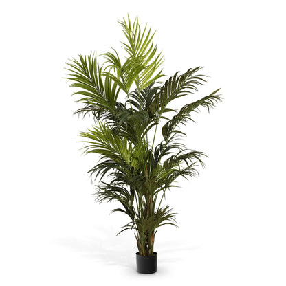 Eichholtz Künstliche Kentia-Palme Kunstpflanze Eichholtz