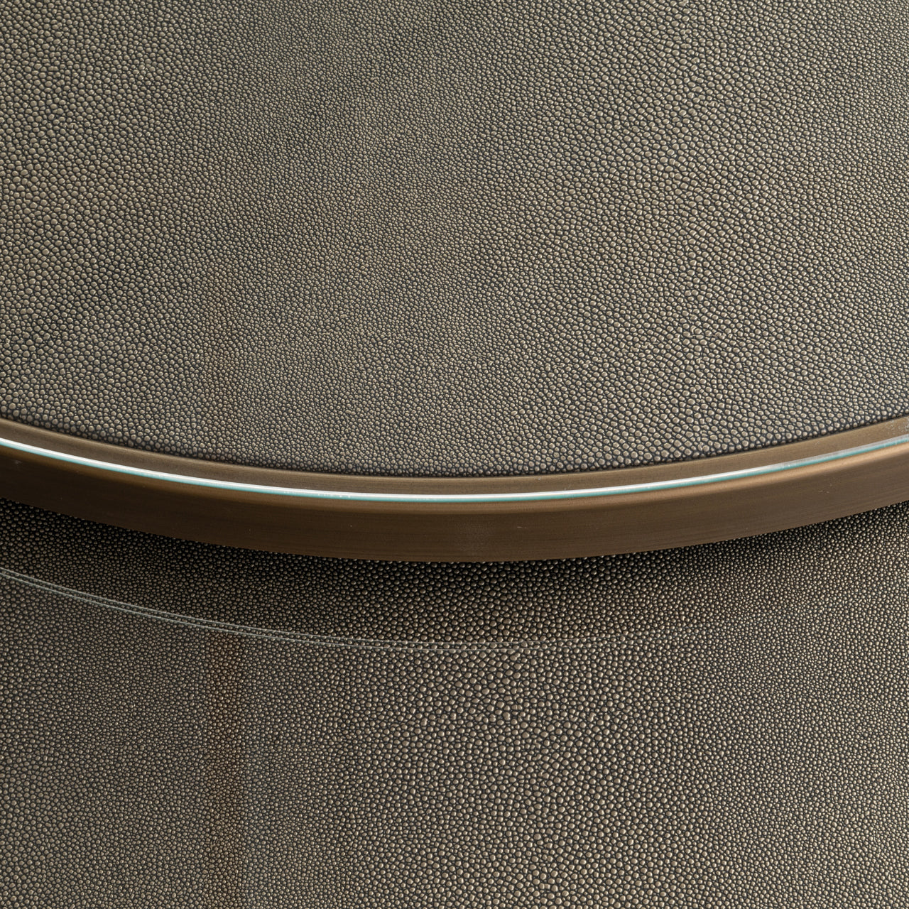 Richmond Interiors Couchtisch Bloomville brass shagreen incl. glass tops (Set of 2) Couchtisch Richmond Interiors