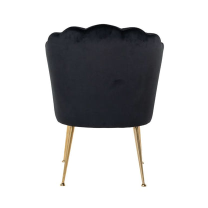 Richmond Interiors Stuhl Pippa Black velvet/ gold (Quartz Black 800) Esszimmerstuhl Richmond Interiors