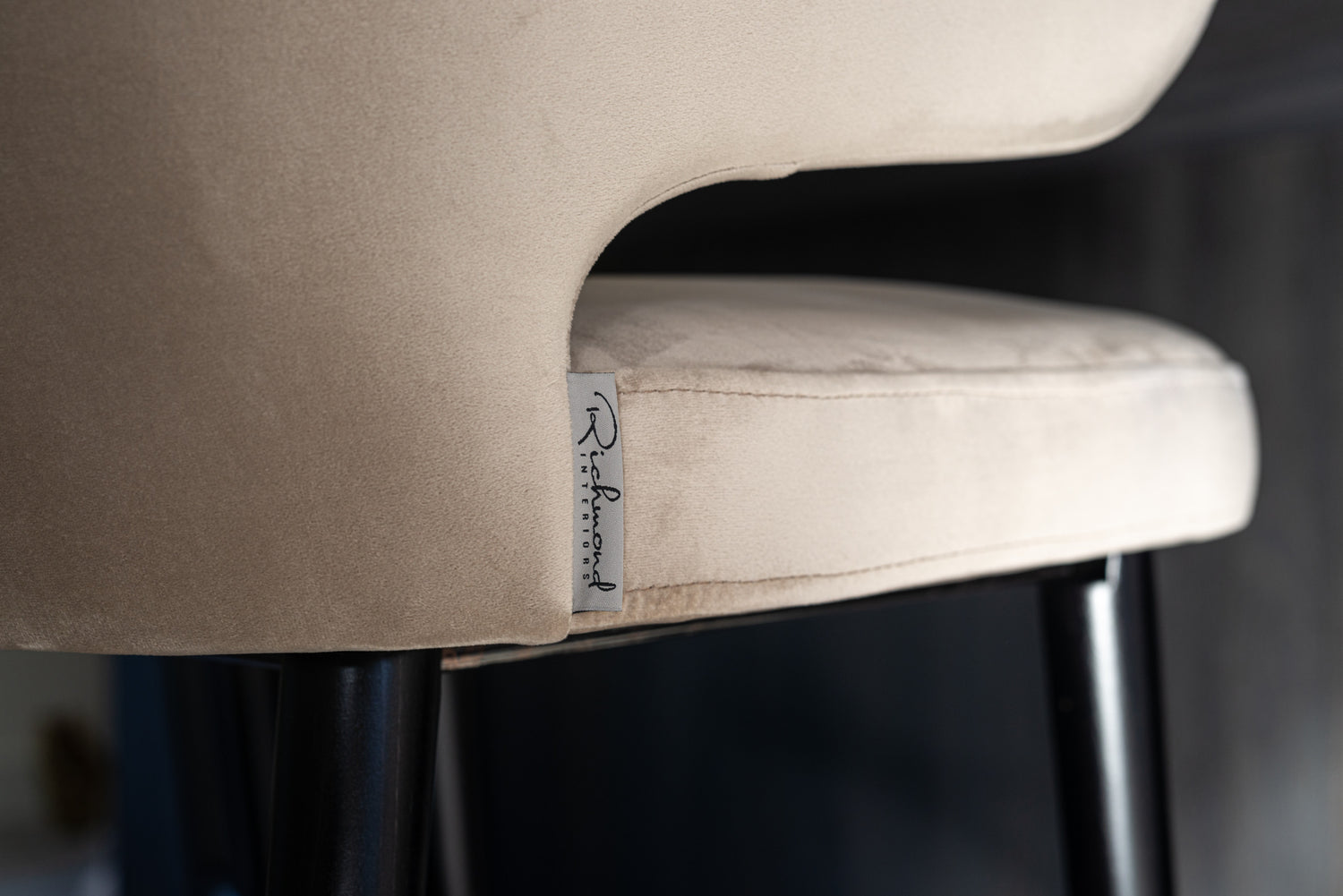 Richmond Interiors Esszimmerstuhl Indigo khaki velvet Esszimmerstuhl Richmond Interiors