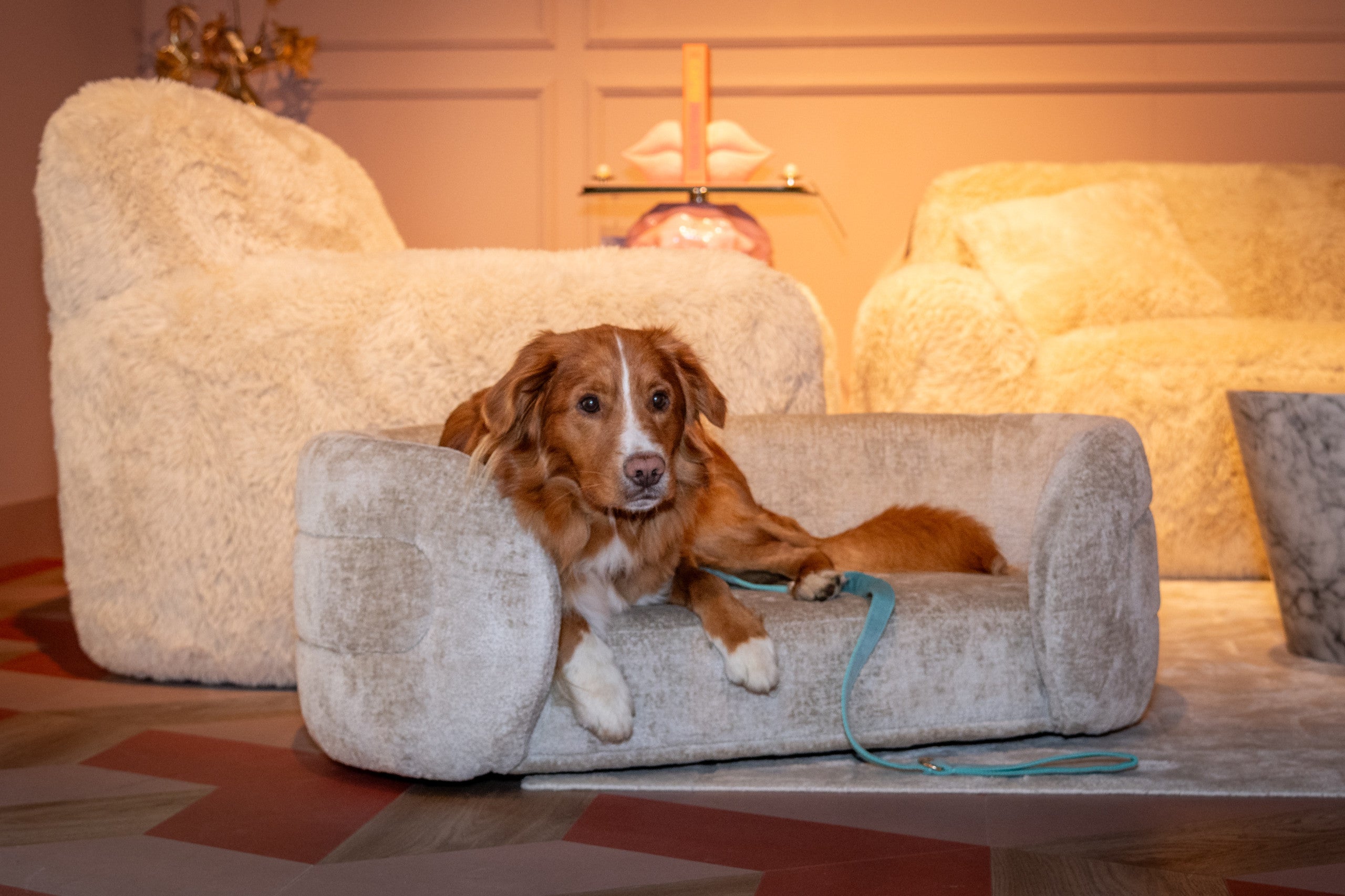 Richmond Interiors Hundebett Bingo clay chenille Hundebett Richmond Interiors