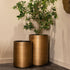 Richmond Interiors Pflanzgefäß Dira 45Ø (Brushed Gold) Pflanzenkübel Richmond Interiors
