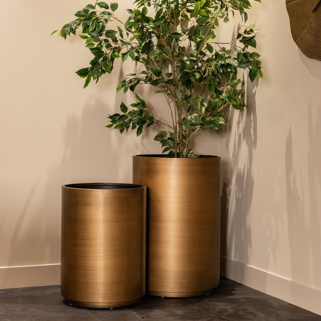 Richmond Interiors Pflanzgefäß Dira 50Ø (Brushed Gold) Pflanzenkübel Richmond Interiors